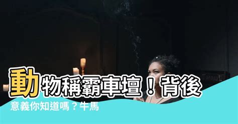 牛馬蛙意思|牛馬蛙是什麼意思？深入了解這個成語的來源與用法